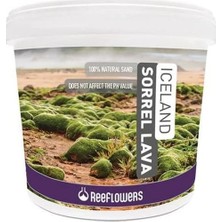 Mey İthalat Reeflowers Iceland Sorrel Lava Bitki Kumu (1-3 Mm) 15 kg
