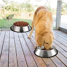 Mey İthalat Duffa Paslanmaz Çelik Kedi Mama ve Su Kabı, Köpek Çelik Mama Kabı, Kaymaz Lastikli Taban, Dayanıklı Besleme Tası, Kolay Temizlenebilir, 16 OZ/500 ml (22 Cm)
