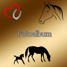 Mey İthalat Fotoalbum Für Pferde Ponys Alpaka Esel Pferdealbum Reitturnier Geschenkidee Malbuch Stammbaumbuch Foto Tagebuch Pferderassen Züchterbuch Haustiere ... Hengst Haflinger Gold 01 (German Edition)