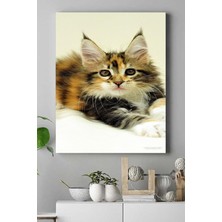 Mey İthalat Postermanya (PSTER16487) Kedi Hayvan Kanvas Tablo 5 50 x 70