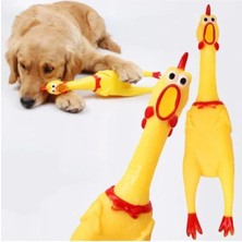 Mey İthalat Öten Çığlık Atan Horoz Tavuk Civciv Köpek Kedi Için Bağıran Sesli Oyuncak (30 cm (Medium))