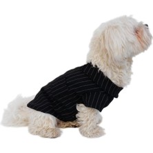 Mey İthalat Kedi ve Köpek Kıyafeti & Elbisesi Siyah Beyaz Çizgili Yakalı T Shirt S