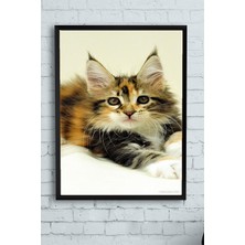 Mey İthalat Postermanya (PSTER11558) Kedi Hayvan Çerçeveli Tablo 5 (50X70CM)