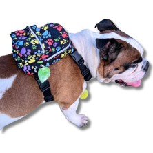 Mey İthalat Street Smart Köpek Sırt Çantası – Su Geçirmez, Göğüs Tasması Fonksiyonlu, Ayarlanabilir Renkli Pati Çantalı Göğüs Tasması Large