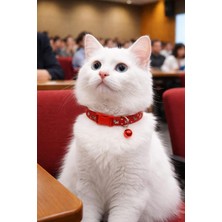 Mey İthalat Kedi Boyun Tasması Zilli ve Ayarlanabilir Kırmızı