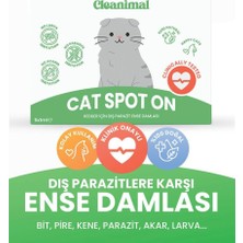 Mey İthalat Kedi Dış Parazit Ense Deri Damlası | Bit, Pire ve Kene Karşıtı Doğal Koruma Damlası 5x1 ml