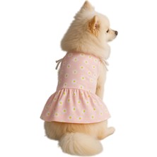 Mey İthalat Kedi ve Köpek Kıyafeti & Elbisesi Pembe Papatyalı Elbise S