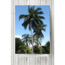 Mey İthalat Postermanya (PSTER8756) Tayland Manzara Posteri (40X60CM)