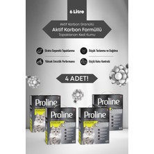 Proline Aktif Karbon Tanecikli Kedi Kumu 4X6LT.