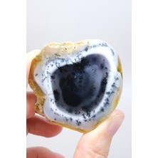 Healcrystal Nadir "kış Ormanı" Merlinit Dilimi (Mavi ve Beyaz Dendritik Opal) - Cilalanmış Portal Koleksiyoncuya Özel Örnek (68G)