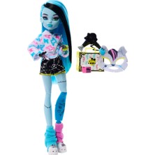 Monster High Güzellik Sırları Serisi - Frankie Stein JMG73