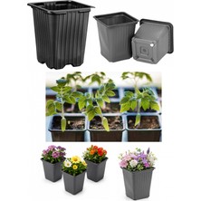 Tunç Botanik FİDE SAKSISI 500 ADET -  KARE 9X9 CM THERMOFORM SAKSI