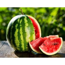 Mey İthalat Karpuz Tohumu Crimson Sweet