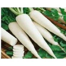 Mey İthalat Turp Japan Tohumu - Aksel 10 gr
