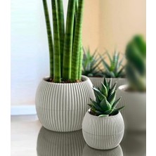 Mey İthalat Mercan Yuvarlak Saksı Seti 0,35 Litre + 1,2 Litre, Iç Mekan - Dış Mekan 2li Ekonomik Tabaklı Plastik Saksı Set Latte Renk
