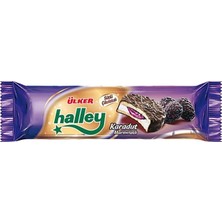 Bezos Halley Karadut Dolgulu 74 Gr. 1869-2