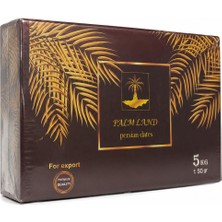 Hazar Gıda Premium Kalite 5 kg Seçkin Hurma Özel Kutusu