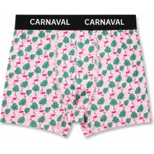 Carnaval Socks CARNAVAL Flamingo Desenli Premium Pamuklu Erkek Boxer -Pembe Renkli