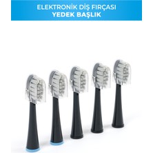 Einsteel Şarj Edilebilir Elektirikli Diş Fırçası Yedek Başlık 5 'li Set