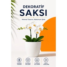 Plant-Home Dekoratif Saksı Orkide Saksısı | Modern Minimal Tasarım, Drenajlı, Dayanıklı Plastik Saksı