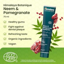 Himalaya Botanique Diş Macunu 75 ml | Ecocert Cosmos Sertifikalı | Organik Bileşenler, Neem, Nar | Florür ve Gluten Içermez