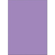 Viva Puti Eva 50X70 Klasik 10'lu Mor