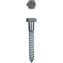 Egecen Ennalbur Trifon Vida 8X80 mm (5 Adet)