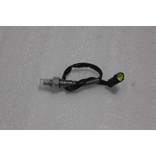 Eksoz Müşürü Malibu Pro Scooter (Arora)