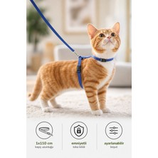 Kiwi KPCL-10320C Kedi Göğüs Tasması ve Gezdirme Seti
