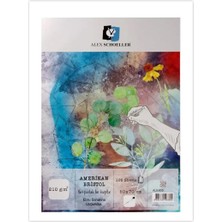 Erkam Ofis Alex Schoeller Amerikan Bristol Kağıdı 210GR 50X70CM 100!LÜ Paket