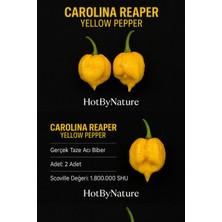 Carolına Reaper Yellow Pepper / 1.8 Milyon Scoville - Gerçek Taze Acı Biber