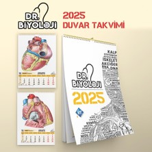Mey İthalat Barış Hoca Dr. Biyoloji Poster Takvim ‎kr Akademi Yayınları