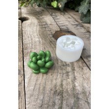 Mey İthalat Rufus Concept Moonstone Sukulent Mum Kalıbı (Silikon)