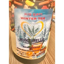 Munzurella Kış Çayı