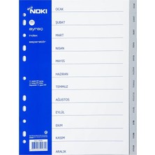 Noki 59280 Seperatör Aylar Ocak-Aralık