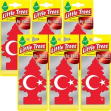 Car Freshner Asma Koku Ay-Yıldız 6'li