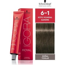 Tüp Saç Boyası 60 ml 6.1 Küllü Koyu Kumral