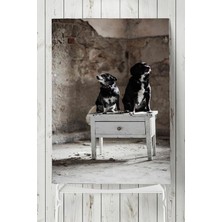 Mey İthalat Postermanya (PSTER5723) Köpek Hayvan Poster (60X90CM)