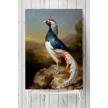 Mey İthalat Postermanya (PSTER5889) Kuş Sanatsal Poster 50X70CM
