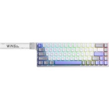 Aula WIN68 He Max Manyetik Klavye Rapid Trigger Wing Chun Switch 8000Hz Rgb Tkl Hot Swap Oyuncu Klavyesi Mavi