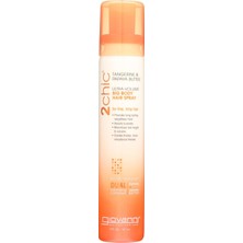 2 Chic Hair Spry Tang (1 x 5oz)