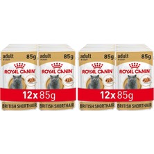 Royal Canin British Shorthair Konserve 85 gr x 12 Adet (2 Paketi)
