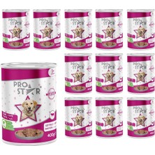 Prostar Yetişkin Köpek Biftekli Pate Yaş Mama 400 gr x 12 Adet