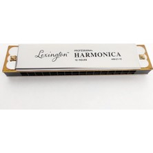 Longmoon LMHM0116 Mızıka 16 Delik Profesyonel Harmonica Kutulu