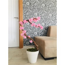 Çiçekleri Çin 60 x 60