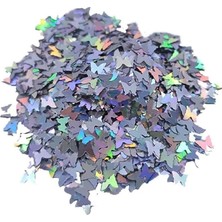 Mey İthalat Epoksi Süsleme Glitter Pul Kelebek Pul Gümüş 5 gr