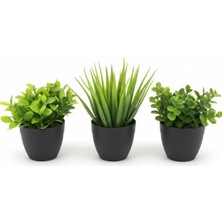 Üçlü Mini Yapay Sukulent Seti – 8 cm Saksı, Dekoratif Küçük Bitki Seti, Gerçekçi Görün�
