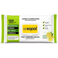 Egoolyüzey Temizlik Havlusu 100'LÜ