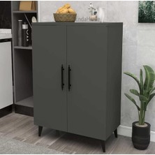 Reyo Home Enda 3 Raflı 2 Kapaklı Çok Amaçlı Dolap Antrasit
