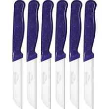 Lı Meyve ve Sebze Kesme Bıçağı Seti Paslanmaz Çelik Ergonomik Saplı Keskin ve Pratik Kullanı